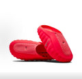 Mind001  Science Department Slides - Red